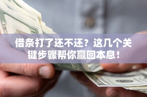 武汉借条打了还不还？这几个关键步骤帮你赢回本息！