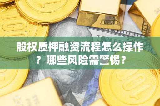 武汉股权质押融资流程怎么操作？哪些风险需警惕？