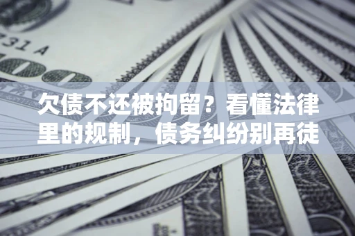 武汉欠债不还被拘留？看懂法律里的规制，债务纠纷别再徒劳奔波