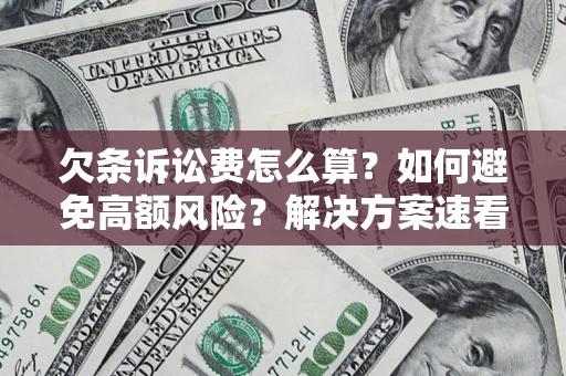 武汉欠条诉讼费怎么算？如何避免高额风险？解决方案速看！
