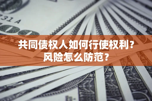 武汉共同债权人如何行使权利？风险怎么防范？