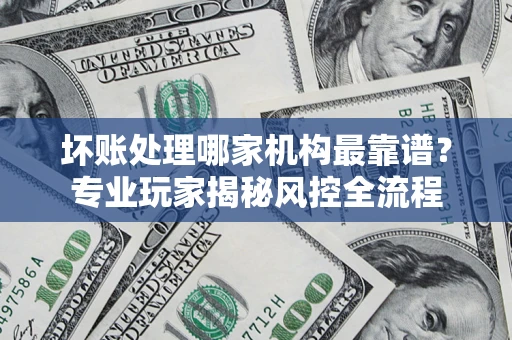 武汉坏账处理哪家机构最靠谱？专业玩家揭秘风控全流程