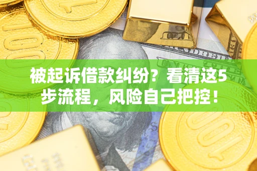 武汉被起诉借款纠纷？看清这5步流程，风险自己把控！