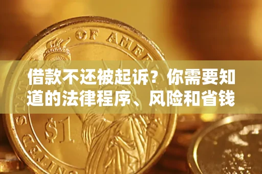 武汉借款不还被起诉？你需要知道的法律程序、风险和省钱技巧